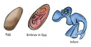 Naucean egg.jpg