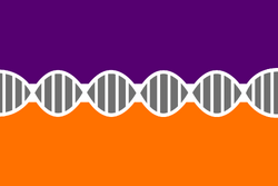 The national flag of the Praestolite Republic is frequently used on the planet, and enjoys semi-official status. Its symbolism is similar to that of the current seal: the purple stands for the Radeons and the orange for the Artharons, while the white DNA strand represents the Rades' legacy which unites the two races.