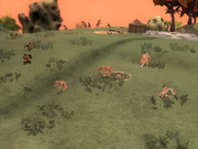 Spore 2018-05-24 14-50-24