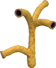 Creature:Live Noodle | SporeWiki | Fandom