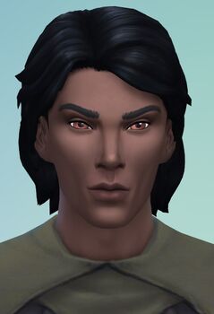 Reimagined as a Sim, in the Sims 4.