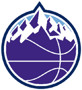 2005-2010: A purple basketball with mountains coming out of the top.
