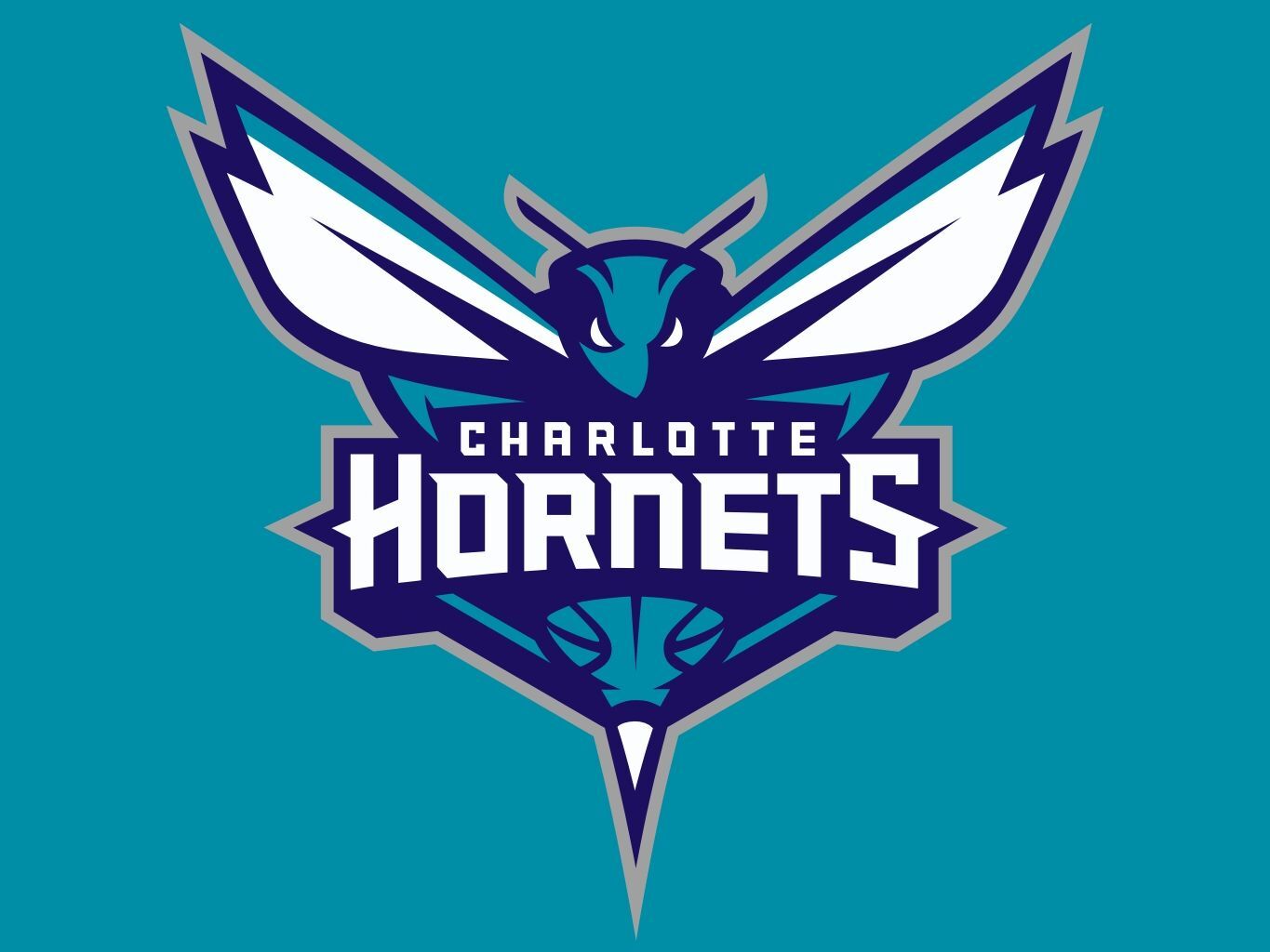 Charlotte Sports' Mascots