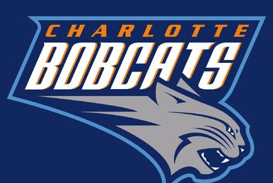Charlotte Hornets (1988-2002), Pro Sports Teams Wiki