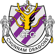 전남 드래곤즈 FC Chunnam Dragons FC (2001-2013)