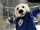 Carlton the Bear (Toronto Maple Leafs)