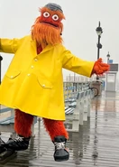 Gritty in the rain