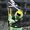 Pirate Parrot (Pittsburgh Pirates)