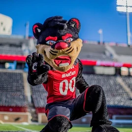 The Bearcat