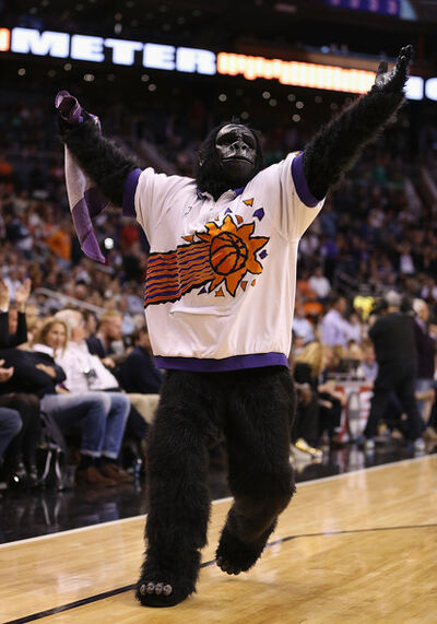 Phoenix Suns Team Mascot Shirt