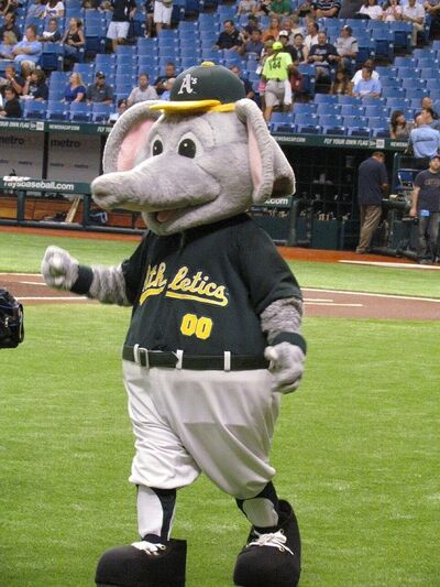 OAKLAND, CA - APRIL 24: Oakland Athletics' mascot 'Stomper' points to his  team that beat the sweep in the game between the Texas Rangers and the  Oakland As on Sunday, April 24