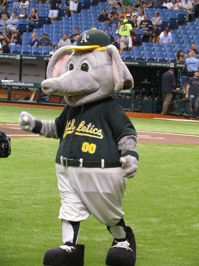 A's Mascot Stomper Takes On Spelling Bee Challenge 