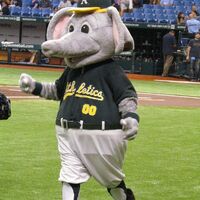 Stomper Oakland Athletics Sportsmascots Wikia Fandom