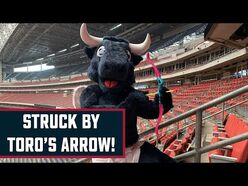 ❤️_Struck_by_TORO's_arrow!_❤️_-_Houston_Texans