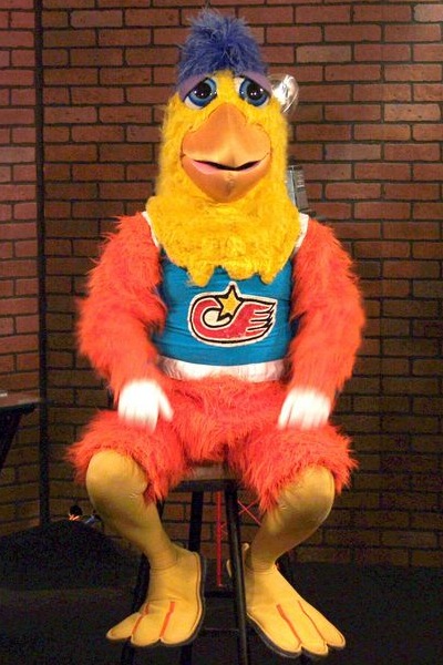 The San Diego Chicken | SportsMascots Wikia | Fandom