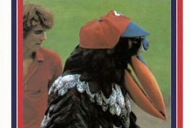 Ribbie and Roobarb (Chicago White Sox), SportsMascots Wikia