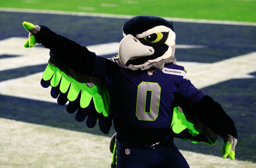 seattle seahawks mascot