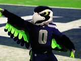 Blitz (Seattle Seahawks)
