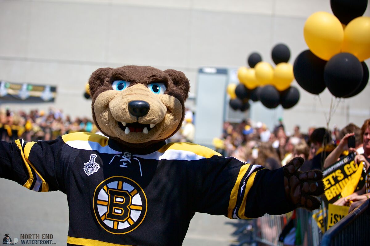 Who is the Boston Bruins mascot? All you need to know about Blades
