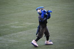 The Toronto Blue Jays are - Sugar's Mascot Costumes