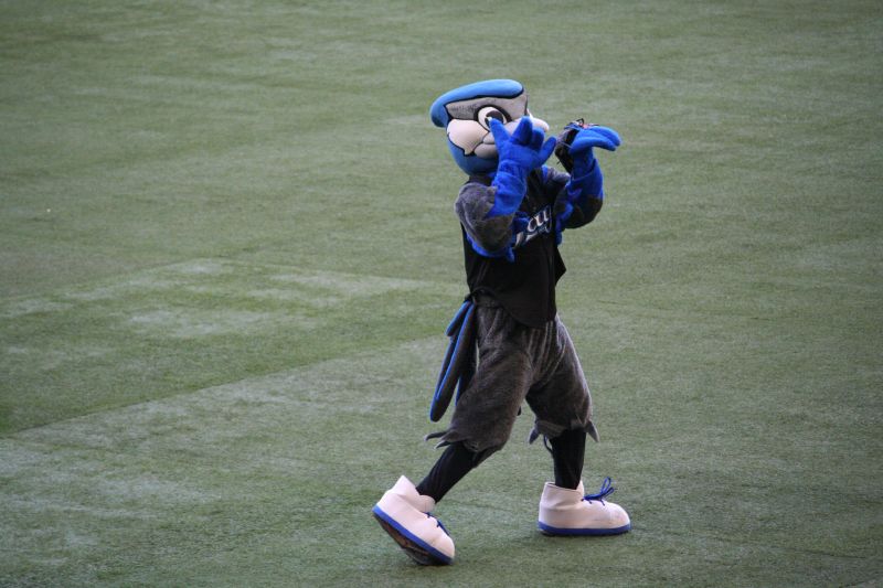 Toronto Blue Jays Diamond Mascot Costume