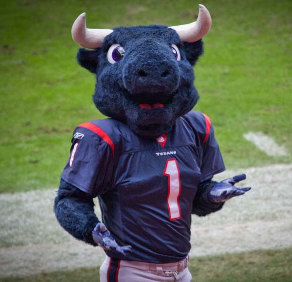 : NFL Houston Texans - S. Preston Mascot Toro 20 Wall