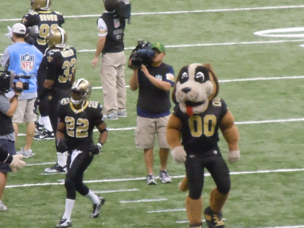 Who is New Orleans Saints Mascot Gumbo?