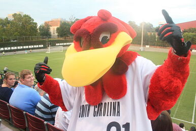 Billy The Marlin, Mascot Wiki