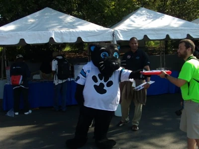 SirPurr