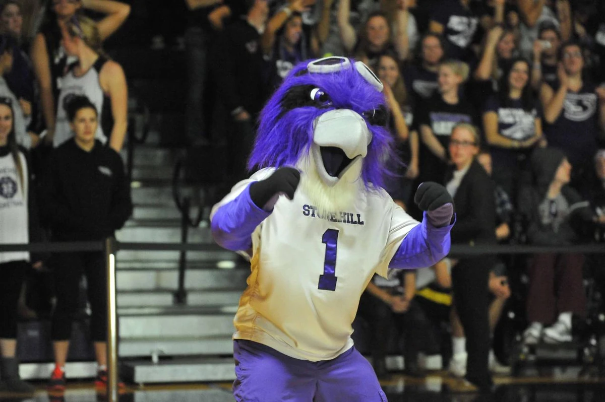 Ace the Skyhawk (Stonehill College) SportsMascots Wikia Fandom