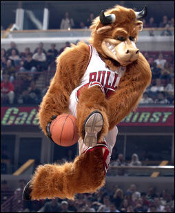 Chicago Bulls - Wikipedia