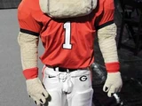 Hairy Dawg (University of Georgia)