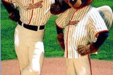 Rally monkey mascot Los Angeles Angels baseball its rally time