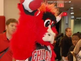Benny the Bull (Chicago Bulls)