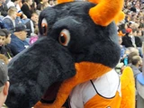 Sparky the Dragon (New York Islanders)