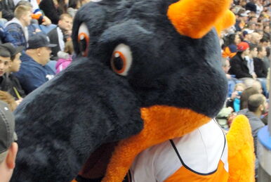 Sparky the Dragon (New York Islanders), SportsMascots Wikia