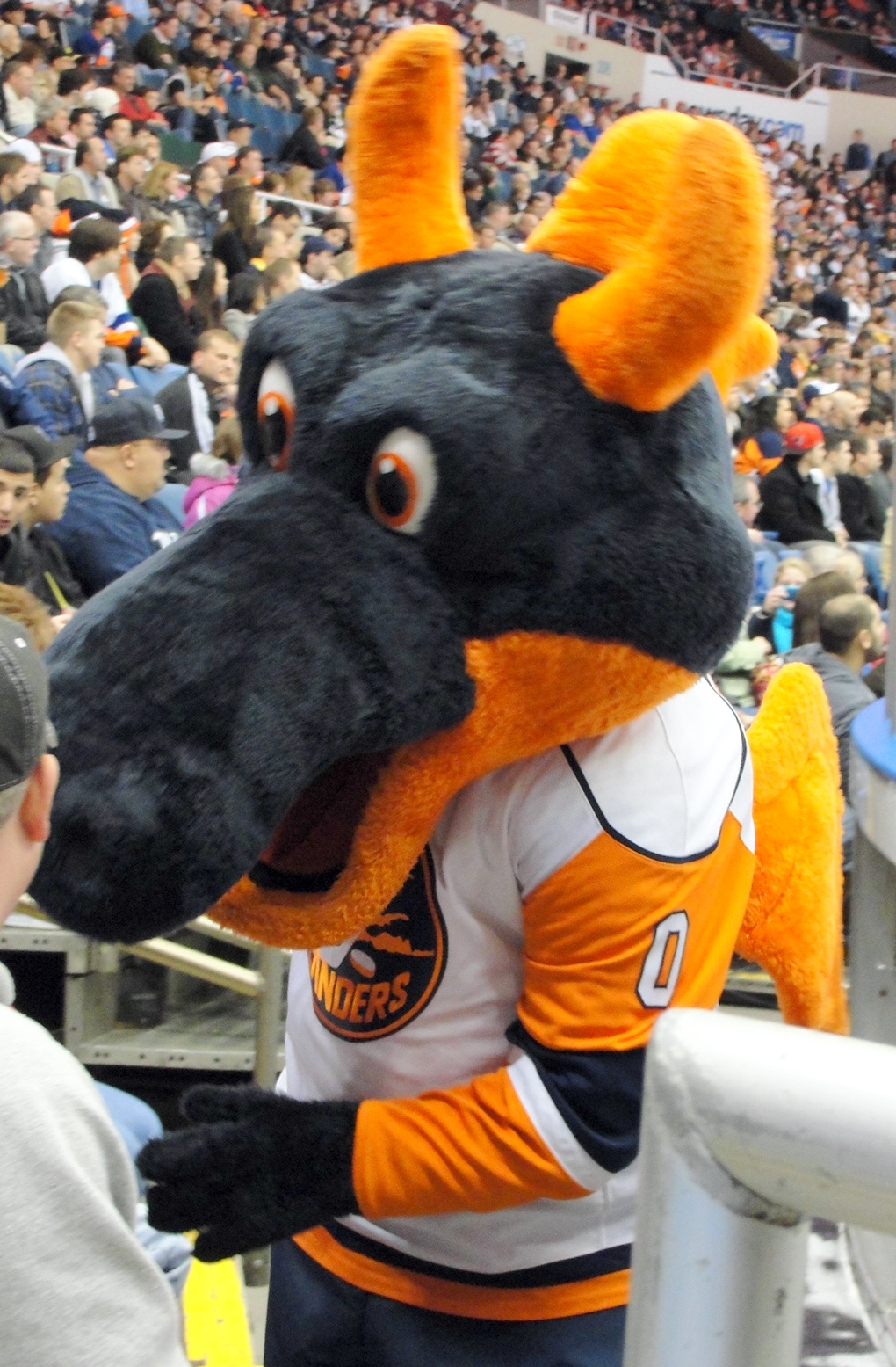 Sparky The Dragon New York Islanders Sportsmascots Wikia Fandom