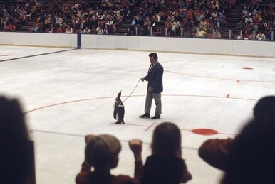 Bailey (Los Angeles Kings), SportsMascots Wikia