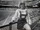 Bonnie Brewer (Milwaukee Brewers)