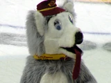 Harvey the Hound (Calgary Flames)