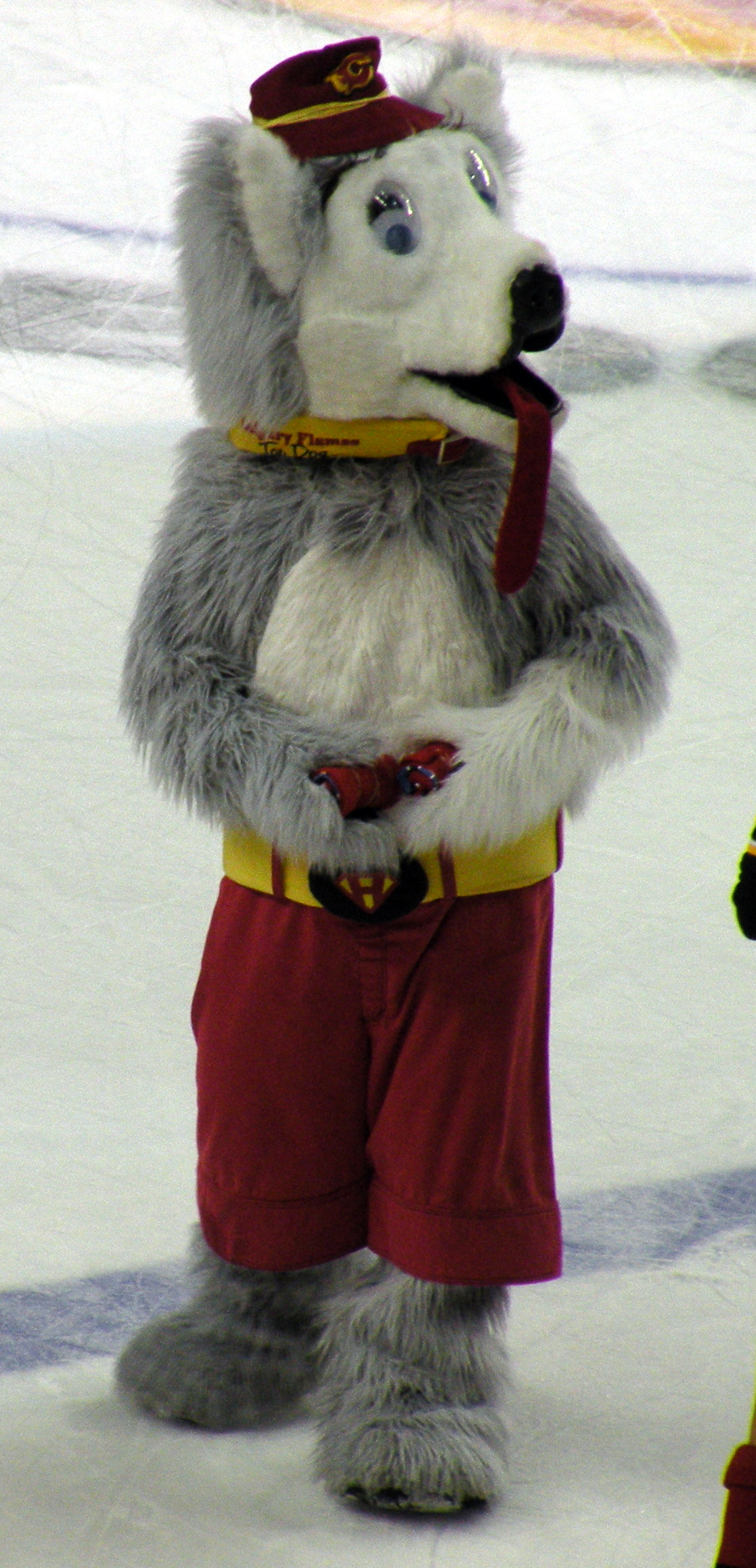 Edmonton Oilers introduce Hunter the mascot