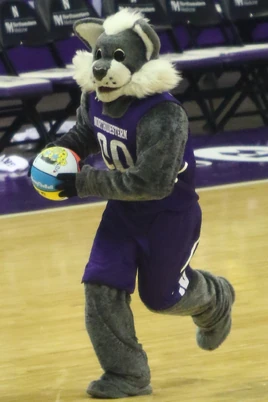 Willie the Wildcat (Northwestern)