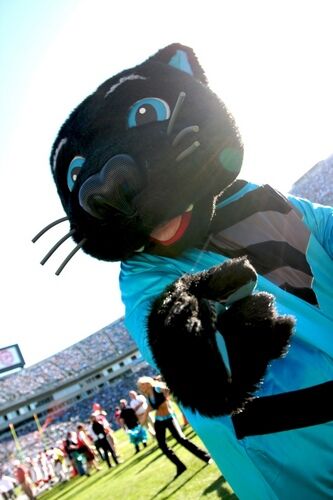 Sir Purr - Wikipedia