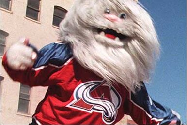 Dear Bernie, Happy National Mascot - Colorado Avalanche