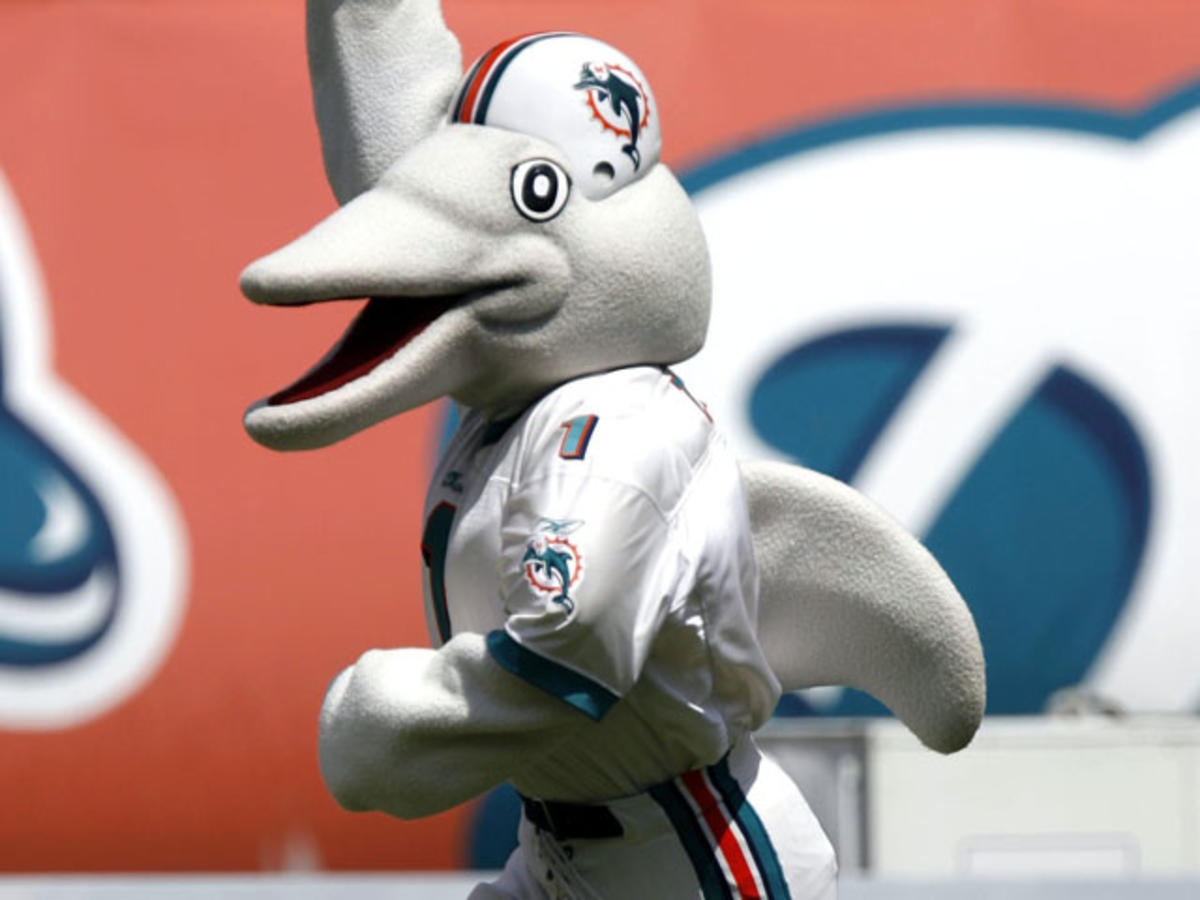 miami dolphins dolphin