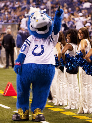 Colts Mascot Blue  Indianapolis Colts 