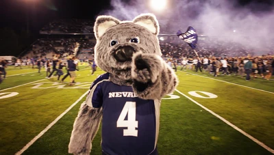 Wolfie
