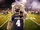 Wolfie (University of Nevada-Reno)