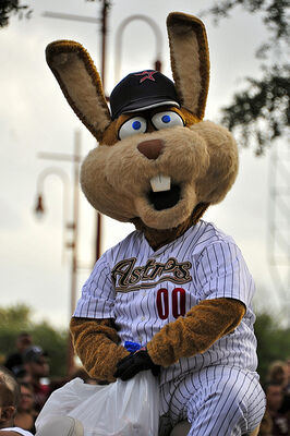 Houston Astros Mascot