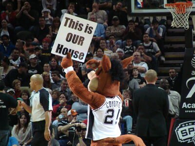 TheCoyote.jpg